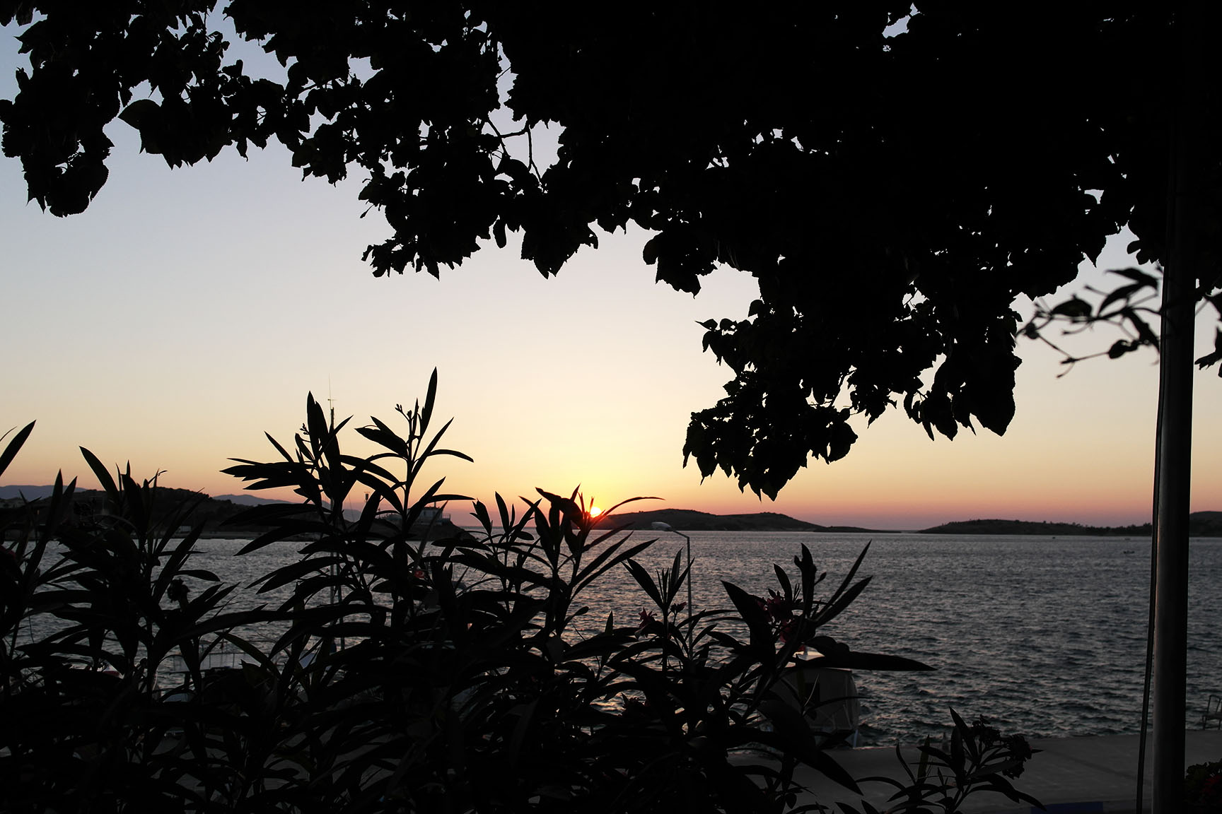 Placeholder Picture 5